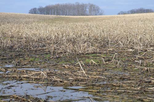 Property photo 13 - 98+/- Acres Offered in 6 Tracts or Combinations, Noble County, Indiana Farm